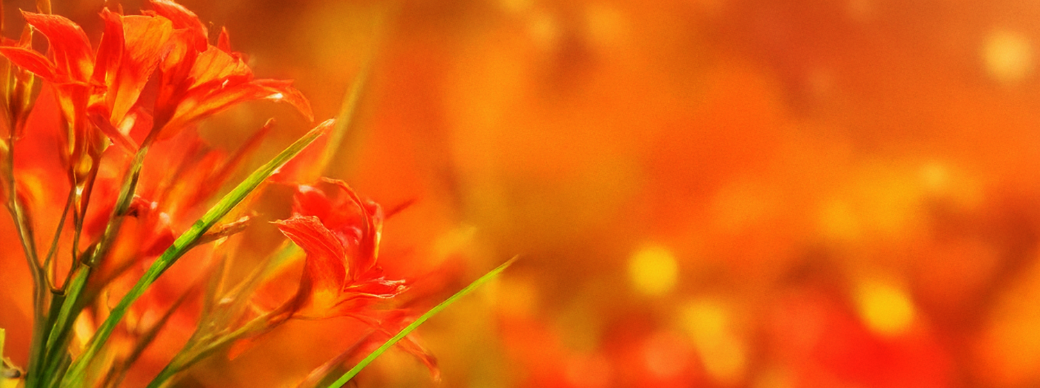 Africa’s Tech Growth Stories: mPharma